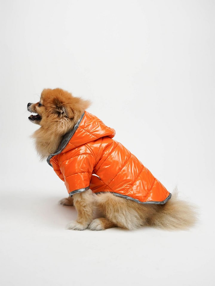 Paws&Whiskers Hundehoodie in Orange - S