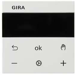 Gira RTR Display 539327