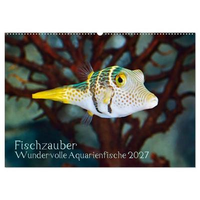 Fischzauber - Wundervolle Aquarienfische (Wandkalender 2027 DIN A2 quer), CALVENDO Monatskalender