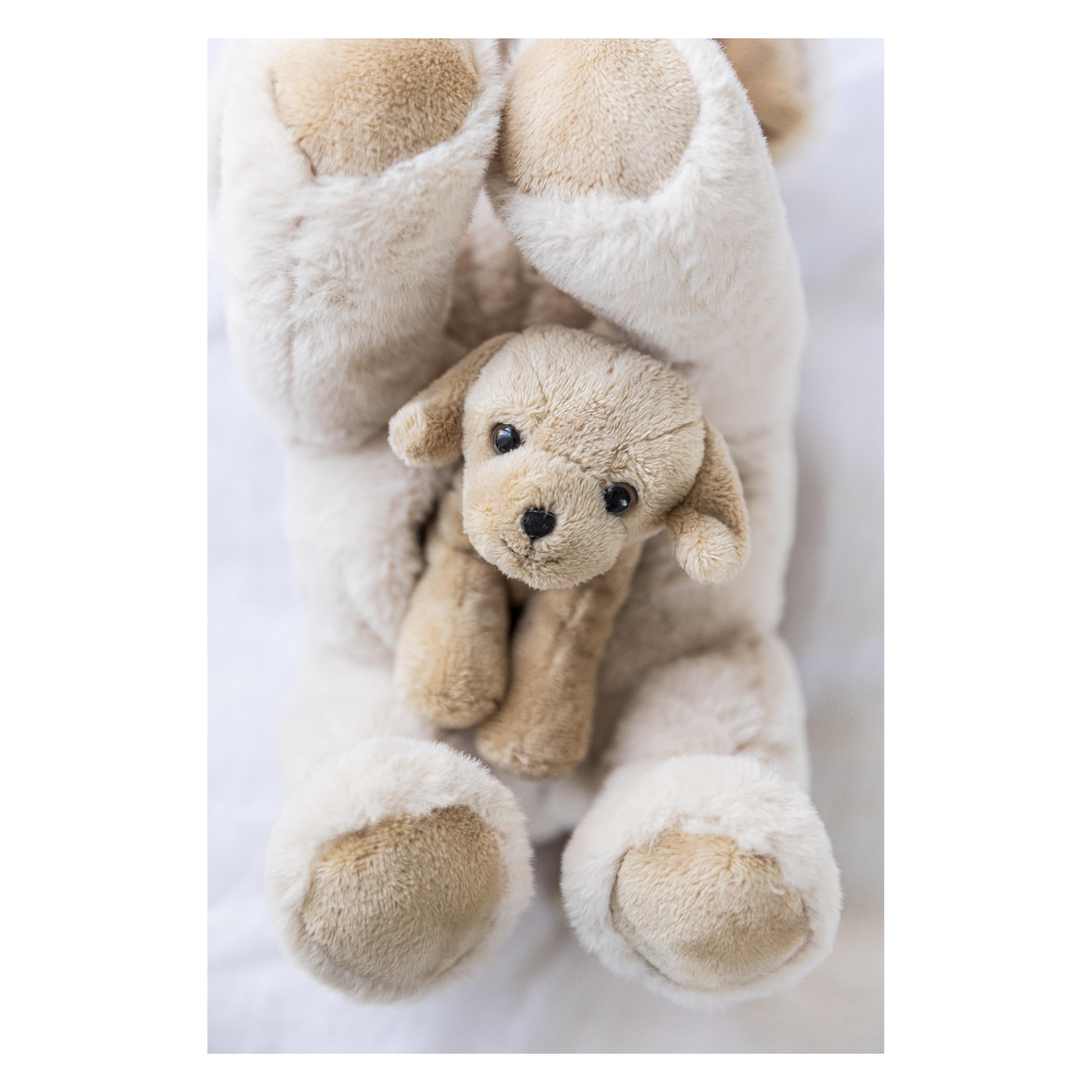 Teddykompaniet - Dog Tess with Puppy (TK4241) (TK4241)