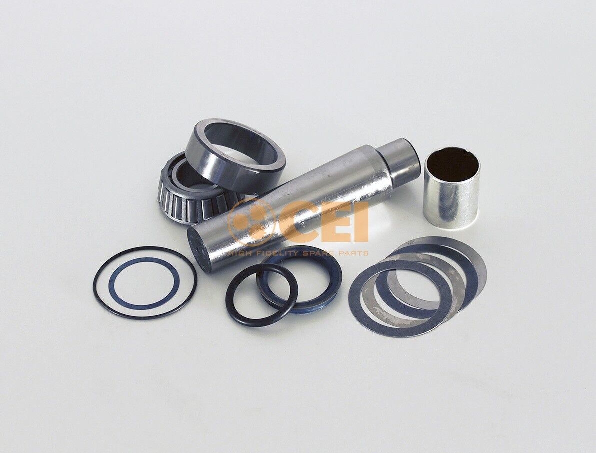 CEI 198.619 Repair Kit, kingpin