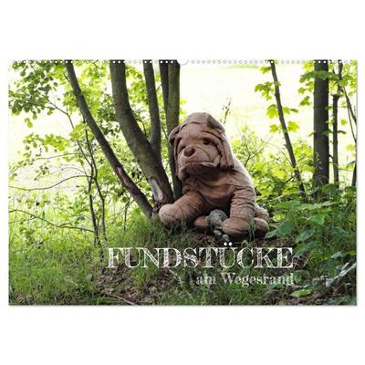 FUNDSTÜCKE am Wegesrand (Wandkalender 2026 DIN A2 quer), CALVENDO Monatskalender