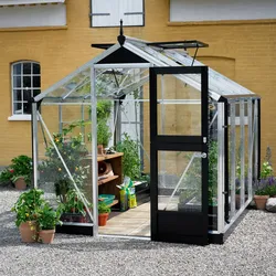 Juliana Gewächshaus Kompakt - 5 m2 / 6,6 m2 / 8,2 m2-2,24 x 2,96 m - 6,6 m2 (Gr. 2)-Alu/Schwarz-3 mm Sicherheitsglas