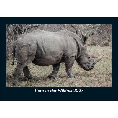Tiere in der Wildnis 2027 Fotokalender DIN A5