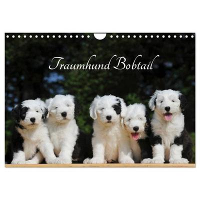 Traumhund Bobtail (Wandkalender 2027 DIN A4 quer), CALVENDO Monatskalender