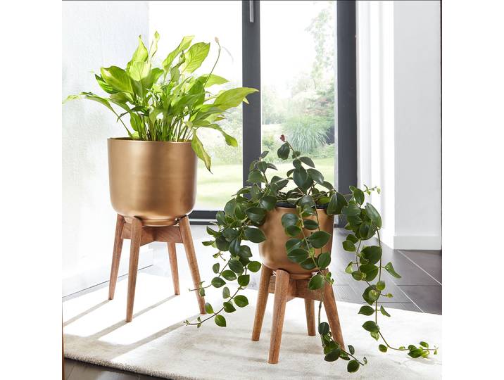 Blumentopf Genen 2er-Set 31 x 52 x 31cm Gold/Gold