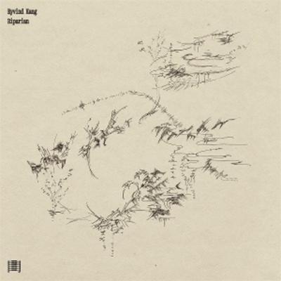 Riparian - Eyvind Kang, Vinyl