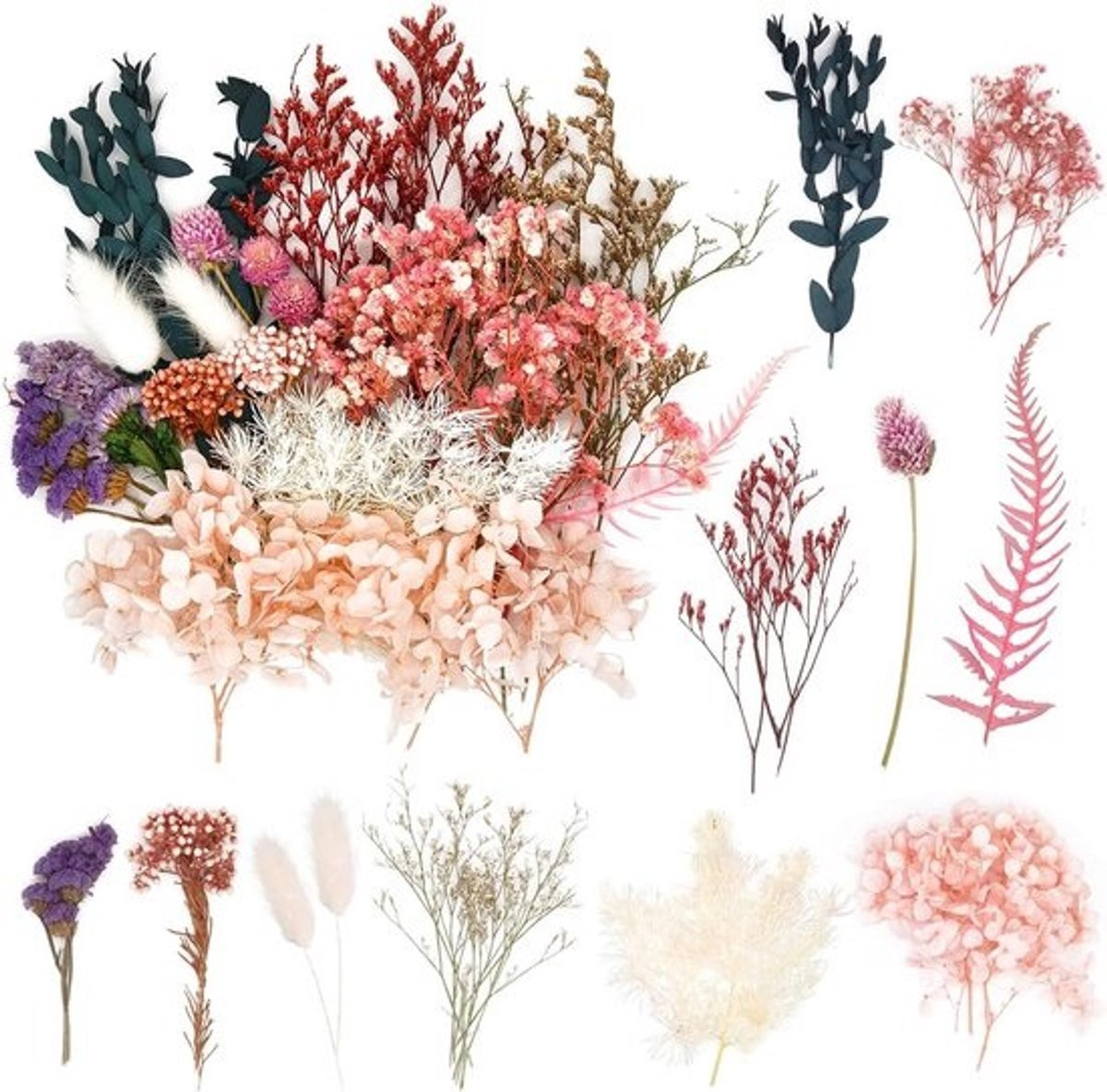 Echte gedroogde bloemen voor ambachten, zeep, kaarsen, hars en decoratie