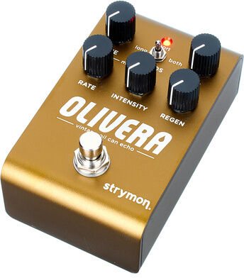 Strymon Olivera Delay
