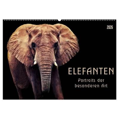 Elefanten - Portraits der besonderen Art (Wandkalender 2026 DIN A2 quer), CALVENDO Monatskalender