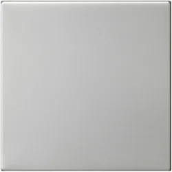 Gira, Lichtschalter + Storenschalter, 5360600 S3000 Bedienaufs. System 55 Edelstahl