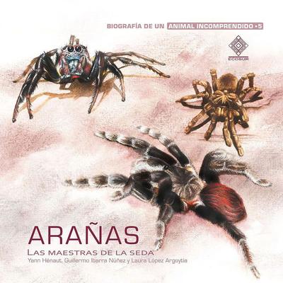 Arañas, las maestras de la seda - Guillermo Ibarra Núñez,Laura López Argoytia, Audio, 9786077637820
