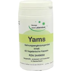 Yams Wurzel 60 ST