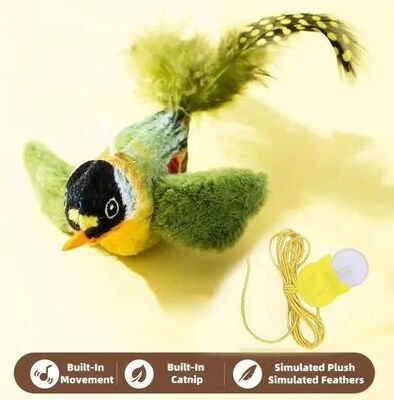 Inspired Living Interactive Chirping Bird Cat Toy With Elastic Hanging Rope green 6x13cm