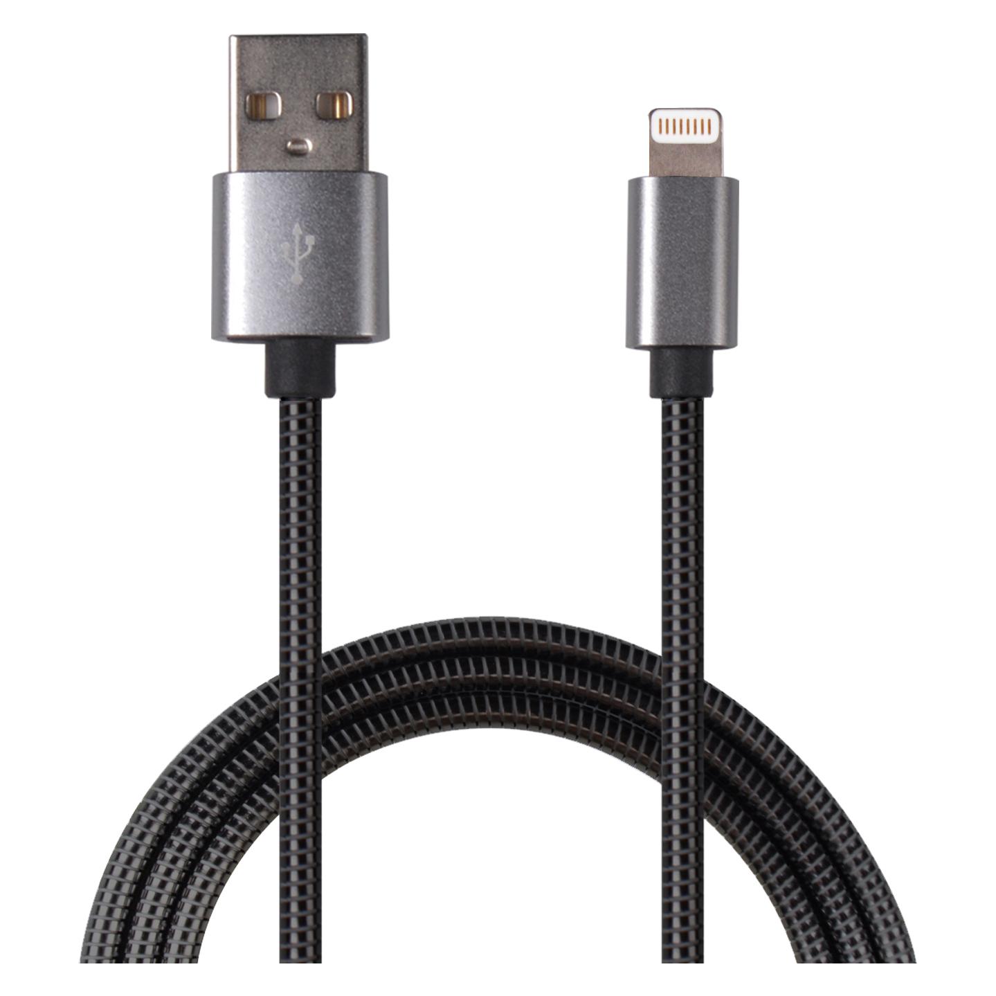 2GO 795810 USB Kabel USB B Lightning (1 m) (795810)