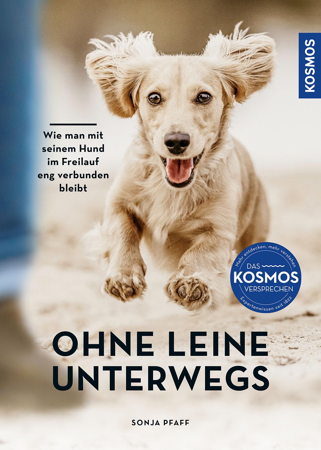 Sonja Pfaff - Ohne Leine unterwegs: Wie man mit seinem Hund im Freilauf eng verbunden bleibt - Preis vom 11.10.2026 15:43:13 h