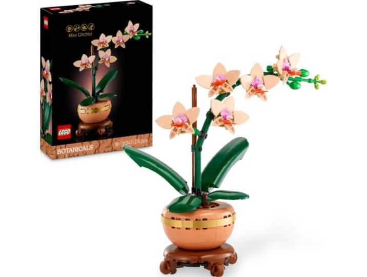 LEGO Botanicals Mini-Orchidee 10343 Bausatz für Erwachsene, Set mit Kunstblumen, Zimmerpflanze mit Blumentopf im Terrakotta-Stil, DIY Geschenkidee, 274 Teile