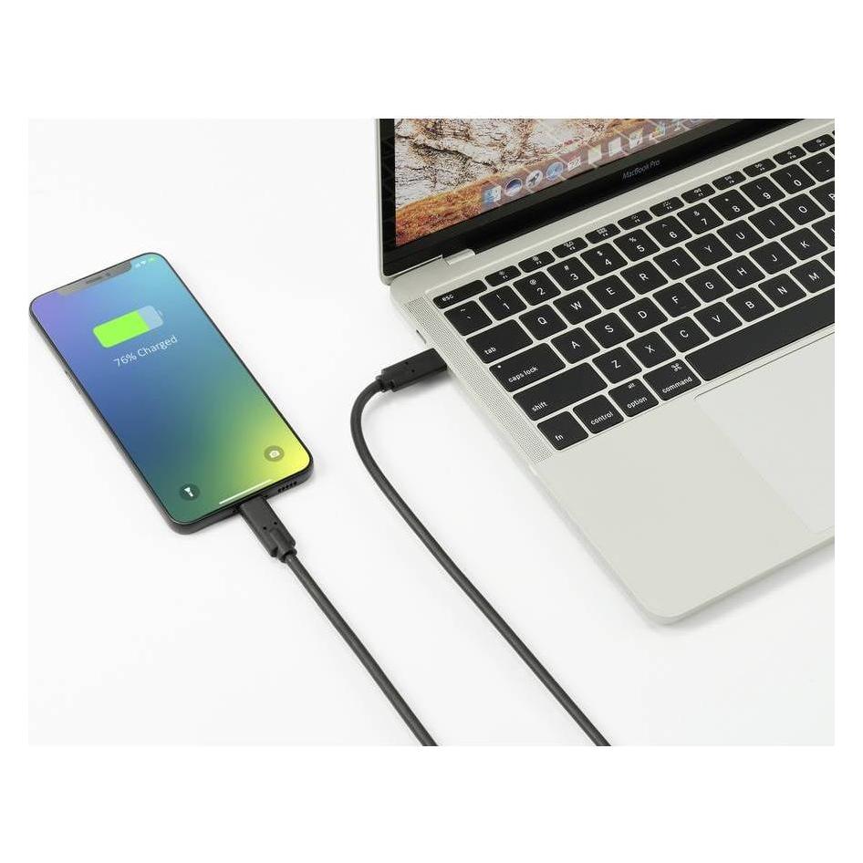 Renkforce USB C - USB C (1 m, USB 4, 240 W) (RF-5241746)