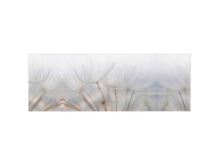 Fani Küchenrückwand Smart - Glas, Beigebraun, Metall, Kunststoff, Blume, 180x63.7x0.6 cm, mit Dekor, Spritzschutz, individuell zuschneidbar, Echtglas-Optik, eventuelle Anpassungen vor Ort nötig, Küchen, Küchenausstattung, Küchenrückwände