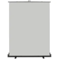 Walimex pro Roll-up Panel Hintergrund (165 cm), Hintergrundsystem, Grau