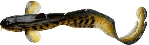 Savage Gear 3D Burbot