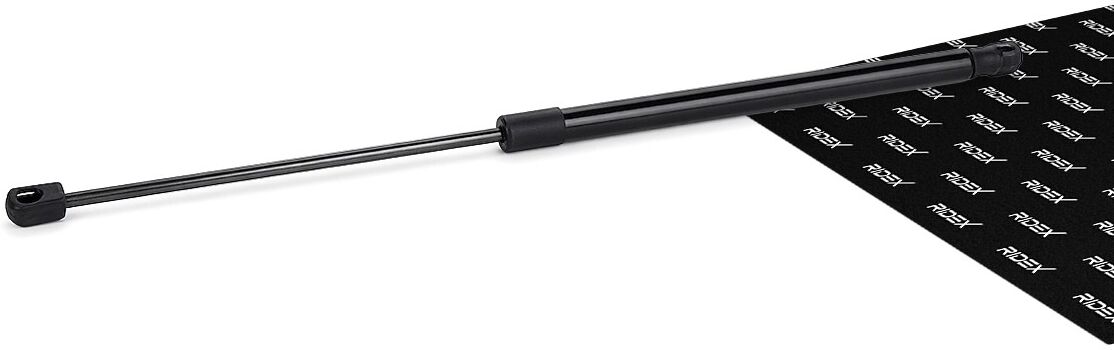 RIDEX 219G0017 Tailgate strut