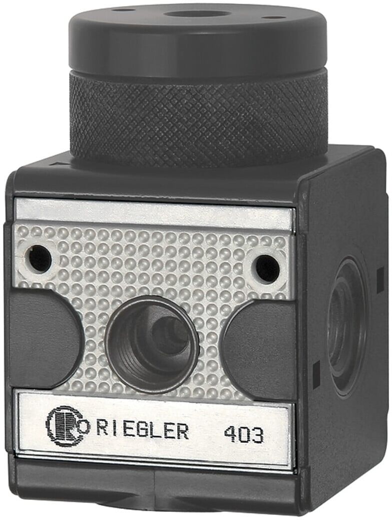 Riegler Druckregler pneumatisch ferngesteuert »multifix«, BG 1, G 1/4 (RI 11)