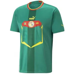 Puma, Herren, Fussballtrikot, auswärtstrikot senegal 2023 (XS), Rot, Grün