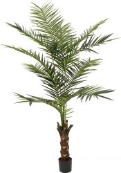 Europalms Kentia palm tree, artificial plant, 240cm TILBUD NU