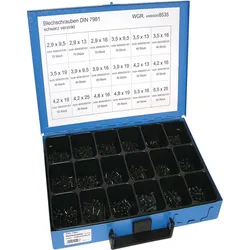 Dresselhaus Blechschrauben 4499/000/06 8535