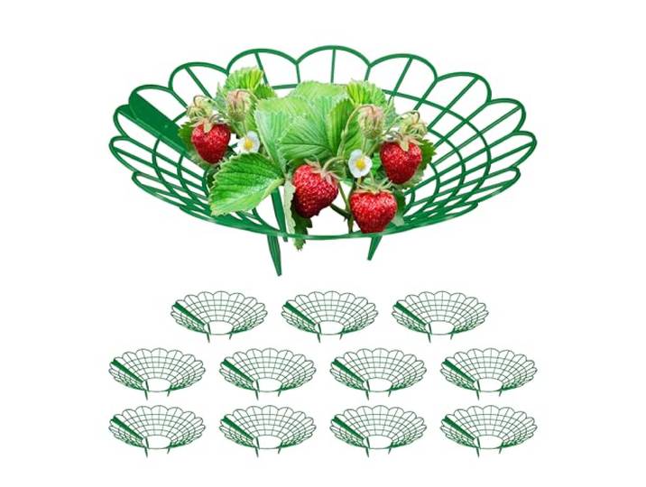 Relaxdays Support pour Fraises\, Set de 12\, Protection Contre Les limaces\, Plastique\, Treillis Anti-pourriture\, Vert