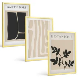 BILDER SET 3er Set - 40x60 cm Goldrahmen - Abstrakte Pflanzenformen