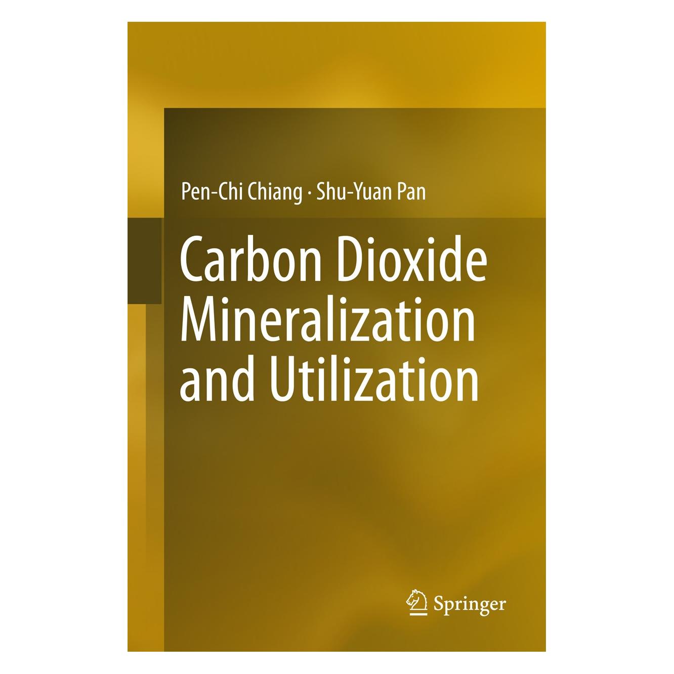 Springer Carbon Dioxide Mineralization and Utilization (Harter Einband) (9789811032677)