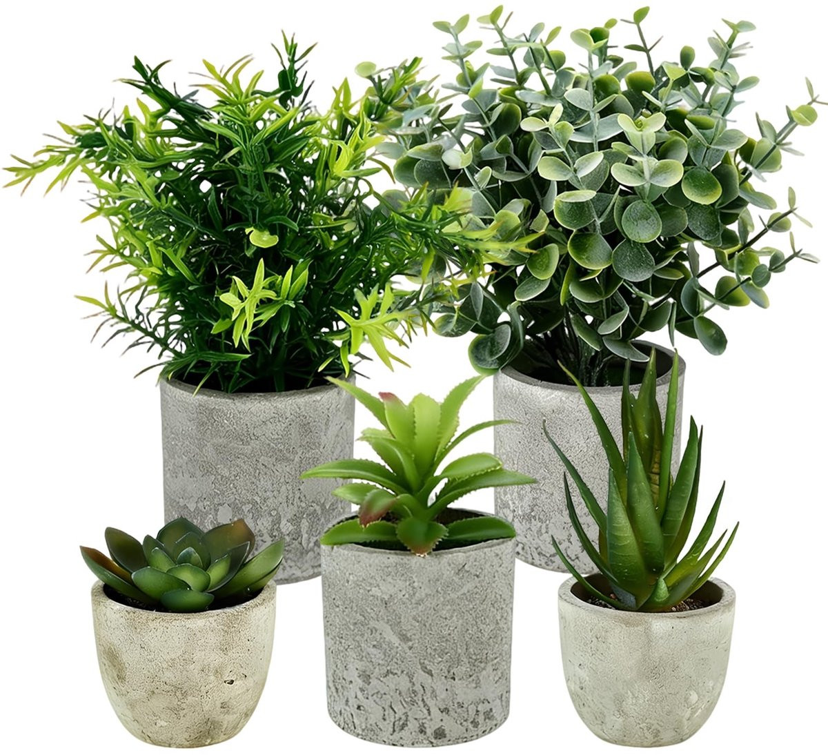 Dailygoods Set van 5 Mini-Succulenten Kunstplanten voor Decoratie