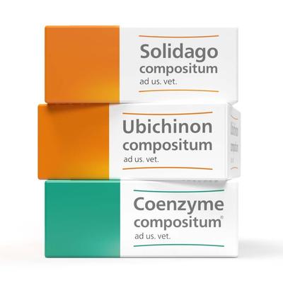 Homöopathisches SUC-Therapie Set 3x10 St Ampullen