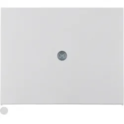 Berker Zentralstück 10057003
