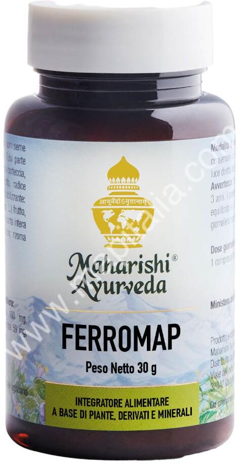 MAP ITALIA Srl FERROMAP 60 Cpr