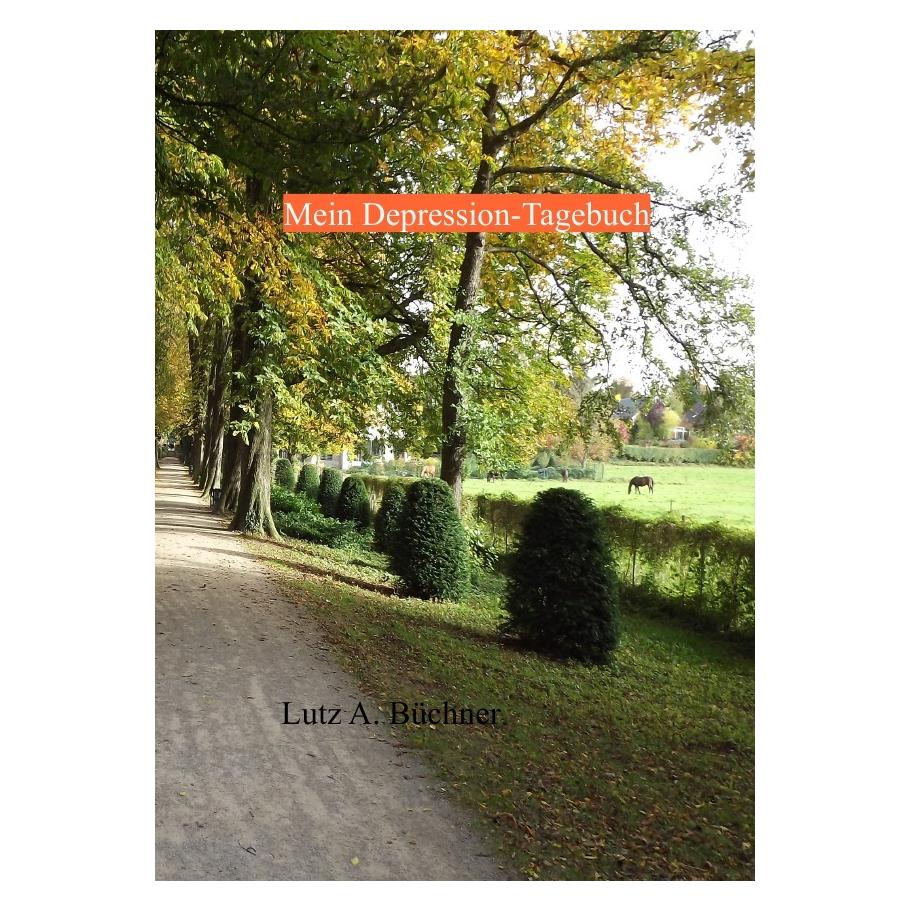 epubli Mein Depression-Tagebuch (55851420)