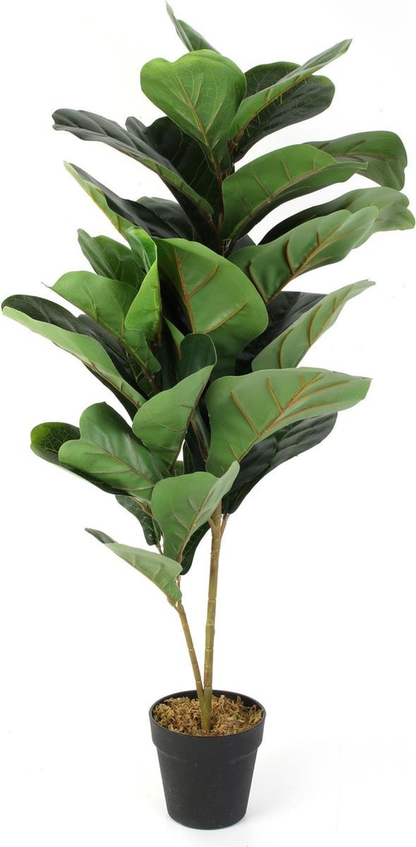 NATURN LIVING Kunstplant Rubberplant Ficus Elastica Groen Ø14 x 98 cm