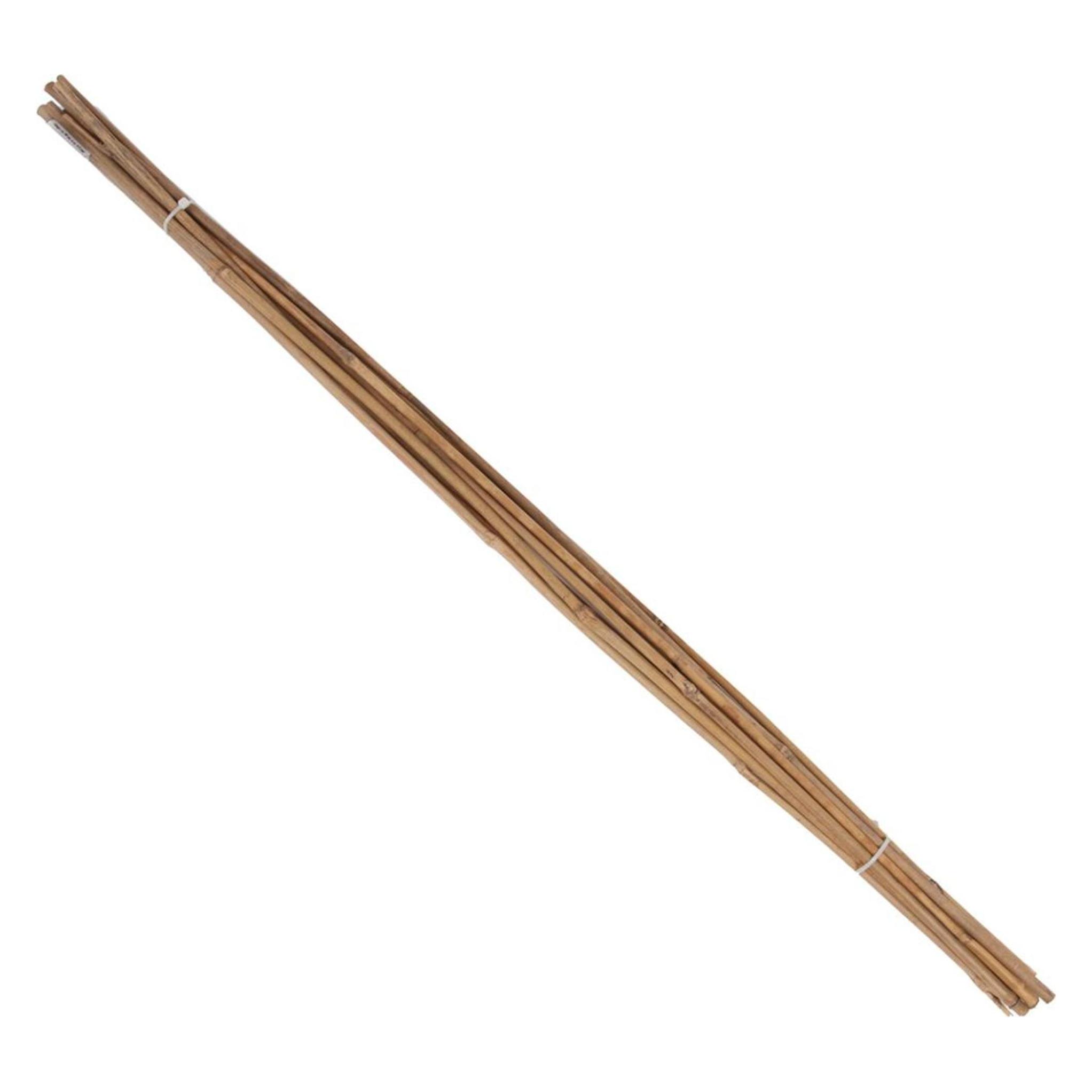 Magni Tonkin-Pflanzstab Ø 8-10mm 120cm 10er Bund Floraworld (120 cm) (4047883004646)