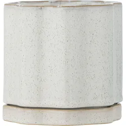 Argyle Blumentopf mit Untersetzer, grau