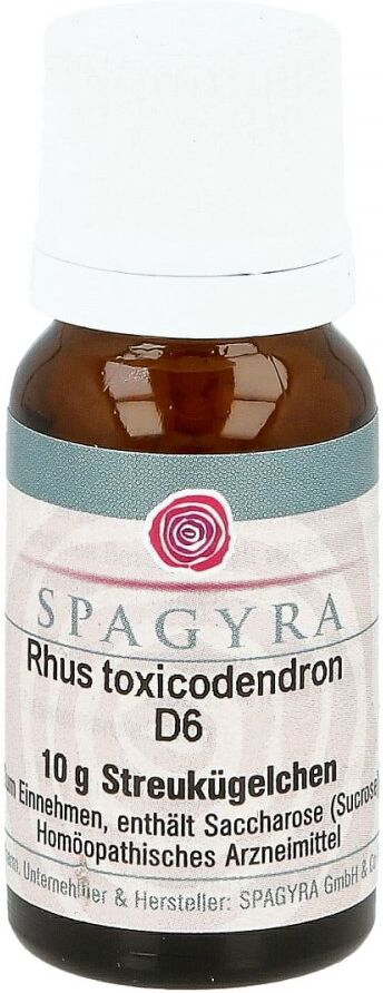 Rhus Toxicodendron D6 Globuli