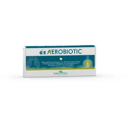 GSE Aerobiotic Aerosollösung 10X5 ml