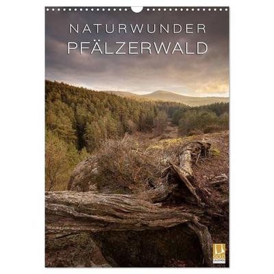 NATURWUNDER PFÄLZERWALD (Wandkalender 2027 DIN A3 hoch), CALVENDO Monatskalender
