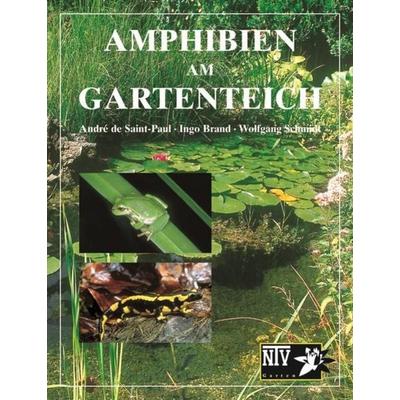 Amphibien am Gartenteich, Taschenbuch von Andrè de Saint-Paul,Ingo Brand,Wolfgang Schmidt, Natur Und Tier, 978-3-931587-09-3
