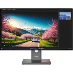 Lenovo ThinkVision P32UD-40 Monitor (3840 x 2160 Pixel, 31.50"), Monitor, Schwarz