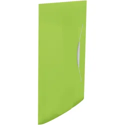 Leitz, Mappe, Dokumentenmappe (A4, 10x)