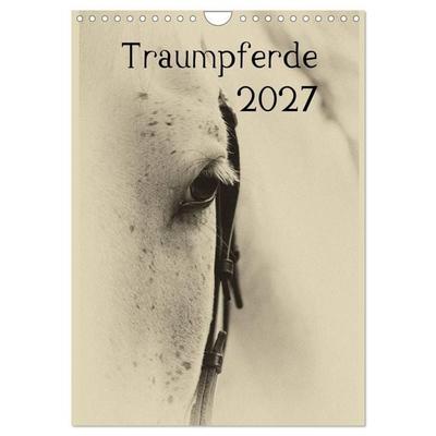 Traumpferde 2027 (Wandkalender 2027 DIN A4 hoch), CALVENDO Monatskalender
