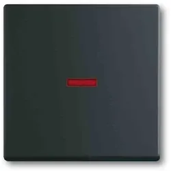 Busch-Jaeger FUTURE LINEAR Kontrollwippe, Schalter/Taster, schwarz, matt, ohne ISO Aufdruck