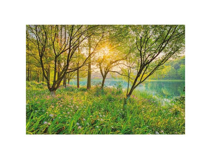 FOTOTAPETE 8-524